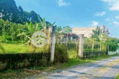 Hàng thơm 1082m2 có 300 thổ xã tân phú trung