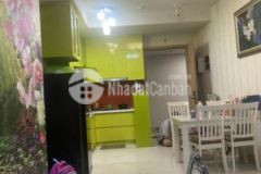 Bán căn hộ chung cư celadon tân phú giá tốt