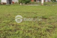 Nền đẹp đường đôi lk14 da phú khương