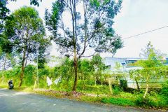 Bán 1000m² mặt tiền lộ cái chanh thuộc ấp phú lộc, đông phú, châu thành, hậu giang