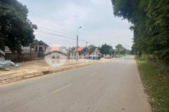 Bán đất tỉnh lọ 514 hợp thắng đất đẹp như ngọc trinh