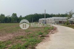 Chính chủ cần bán gấp lô đất chỉ 3trm2 ngay kcn tân quan, sổ riêng 5,5x43mx100m2tc