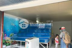 Cần bán nhanh nhà mặt tiền lạc long quân,p10,tân bình.dt51m2,hđt 25tr chỉ 9,9tỷ.0386817015