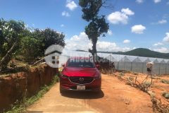 Bán đất sào 6913m2 đất 3 mặt tiền tại lâm hà giá 4.5 tỷ