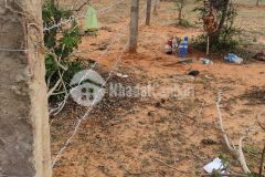 Tôi cần bán 9 xào đất sát safari để thu hồi vốn giá rẻ chỉ 125km2, đường vô tận đất