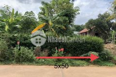 D785 mặt tiền buôn kla xã draysap