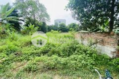 Đất thạch thất hòa lac bán gấp hạ giá 1 tỷ 2