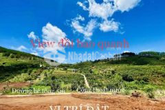 Chính chủ 437m2 trung tâm thị trấn nam ban lâm hà