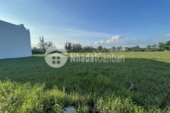 Đất thổ cư bình chánh cách bến xe miền tây 20 phút