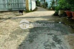 Nền thổ đẹp diện tích vừa đường ô tô p8