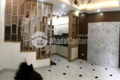 Cự lộc 35m x 5 tầng mt5m ngõ 3m cách ô tô 50m