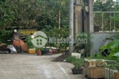 Đại hạ giá đất 4x25 vườn lài nối dài 3ty2