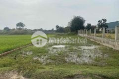 Đất mặt tiền nhựa bình tả 2 447m2 xã đức hoà hạ