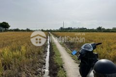 1 công đất thổ 1trm2 gò công đông tiền giang