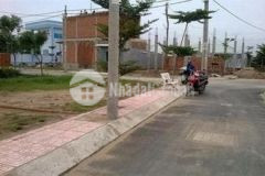 Củ chi đang rao bán giá cực rẻ