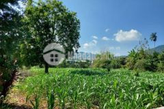 Đất yên bài 1600m mặt 30m view núi ba vì