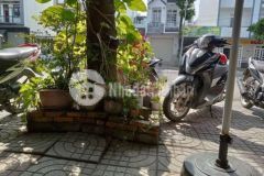 Nền xây trọ hoặc biệt thự mini giá hợp lý