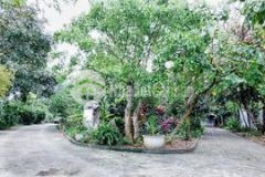 Căn biệt thự 3000m2 gần đền hùng cần tìm chủ mới