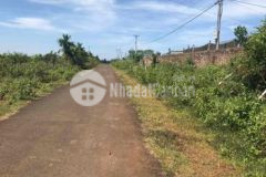 Bán 1000m2 thôn 3 xã diên phú tp pleiku gia lai