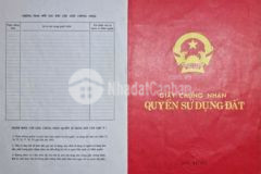 Báncho thuê đất nông nghiệp 2 mặt tiền đường