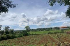 6 lô lk mặt tiền đường nhựa nguyễn thi siêu đẹp