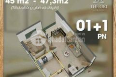 Căn hộ kiểu nhật giá chỉ 1ty 100 ở ngay đà năng