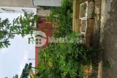 Đất thổ cư an phú đông q 12 5 5 9 2m sổ hồng