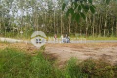 Chính chủ cần bàn giao 3 nền đất dân 10x50 shr