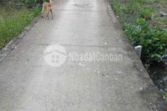 Nền chính chủ giá rẻ cách quốc lộ 1a 200m