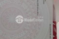 Đất tt hậu nghĩa đức hòa long an