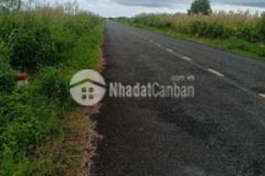 Bán đất nền 5 50 10 45 lộ mới bờ nam