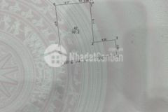 Lô góc 101m² đất 14c87 tam trinh hoàng mai