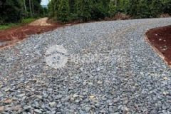 Bán rẫy sầu riêng cà phê bơ