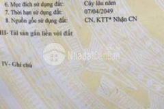 Đất sổ dỏ 500m2 ql91 p tân hưng q thốt nốt tpct