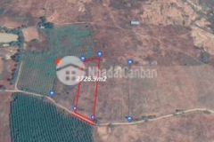 Bán 2726m2 đất sào hồng liêm 681tr cách ql1a 650m