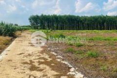 Bán đât xa xuân đông huyện cẩm mỹ đồng nai