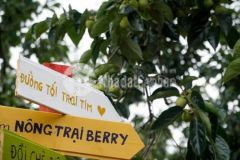 Đất thổ cư trung tâm định quán shr giá f0