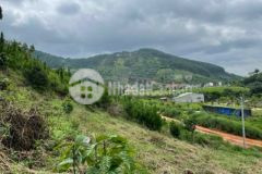 Cần tiền cho con đi học đại học cần bán gấp shr