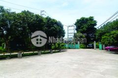 Cần chuyển nhượng nha xương ts gắn liền tại kcn mông hoá hoà bình giá tốt