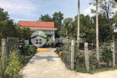 Bán nhà trưng nữ vương 40m2 giá 4,2 tỷ