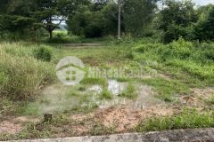 Tôi chuyển nhà nên cần bán gấp căn trọ và lô đất chỉ 850trnền sát chợ