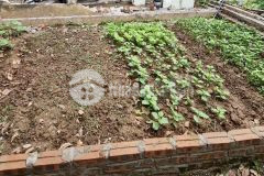 15m ra ô tô tránh đất ngọc hồi mt 4.4m chỉ 1.85 tỷ