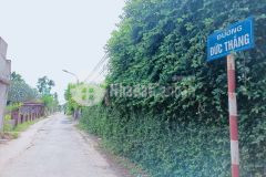 Đại hạ giá đường nhựa đức thắng, đồ sơn, hải phòng