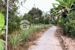 Bán 2000m2 đất công khu vực thạnh phú phường phú thứ quận cái răng thành phố cần thơ