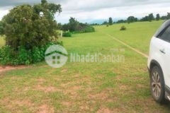 Bán 8459m2 đất xã sông lũy gần ql1a giá rẻ chỉ 140km2