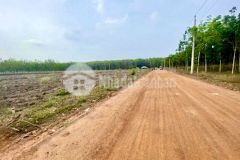 Bán đất tân hưng hớn quản,bình phước 5x60m2có 100m thổ cư giá 470tr