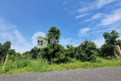 Chính chủ cần bán đất tại thị trấn đất đỏ tỉnh bà rịa vũng tàu giá 4,5 triệum2