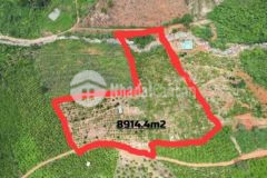 Bán 8915m2 đất view đẹp có suối quanh năm