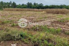 Cần bán lô đất mặt tiền đường nhựa xã hoà xuân