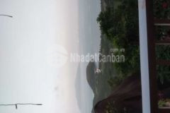 Bán đất trồng cây xã hoàn ninh huyện hoà vang